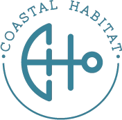 Organisation or company I have worked with